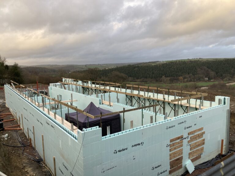 February update – ground floor walls Pt. II