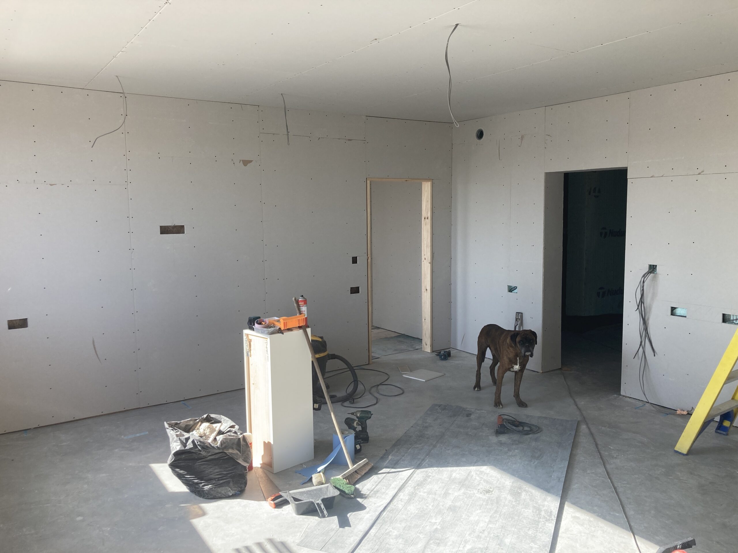 June 2025 – change of plan…project Marj!