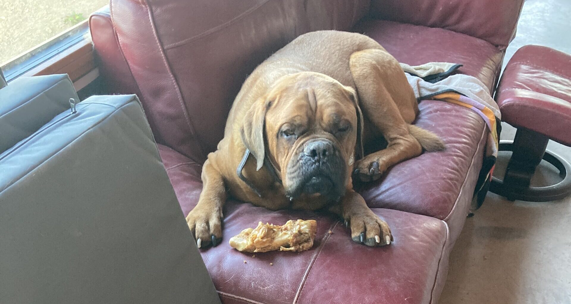 Aug 2025 – Ralph, Marj’s flat continued, workshop and balcony…